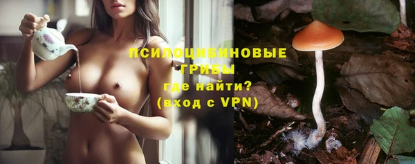 jwh Горнозаводск