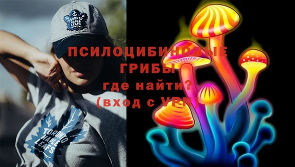 2c-b Горно-Алтайск