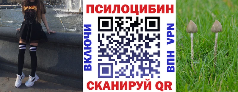 Псилоцибиновые грибы мухоморы  MEGA tor  Гусиноозёрск 