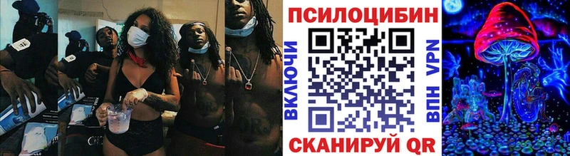 Галлюциногенные грибы прущие грибы Гусиноозёрск